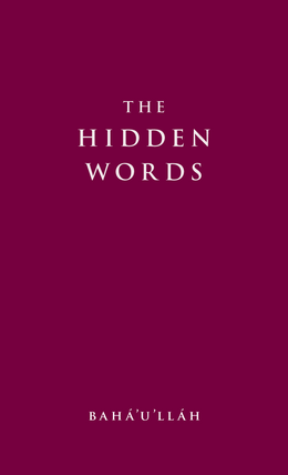 Hidden Words (English) (5-pack)