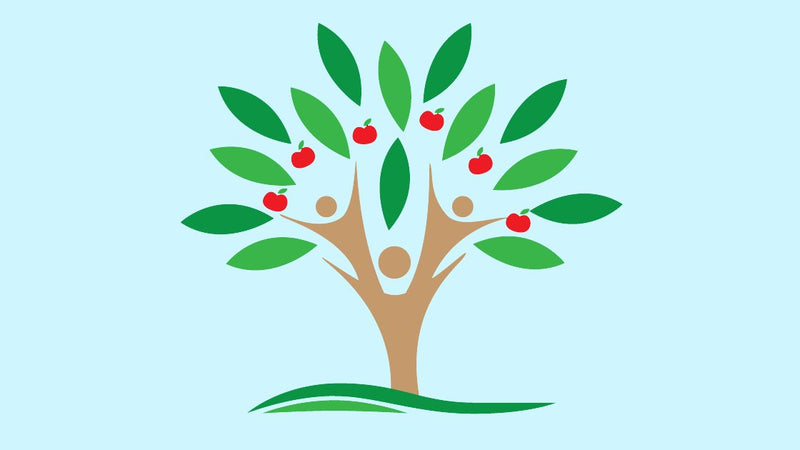 Children's Class Teacher Branch Courses