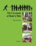 Ruhi Book 8
