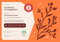 Children's Class certificate, colourful