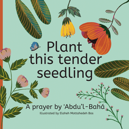 Plant this Tender Seedling