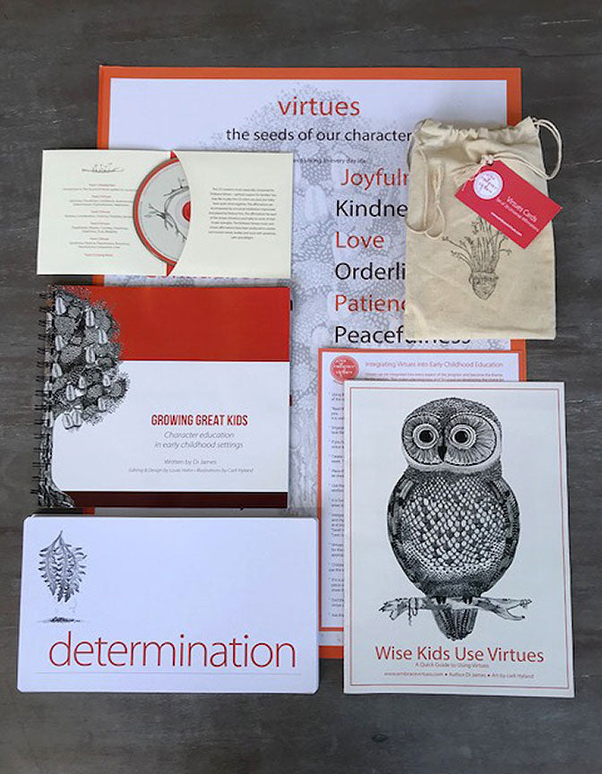 Virtues Pack for Early Childhood Educators